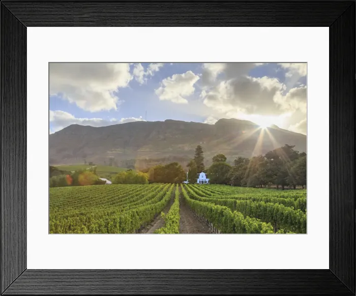 Framed Print : South Africa, Western Cape, Constantia, Buitenverwachting Wine Farm Framed Print : South Africa, Western Cape, Constantia, Buitenverwachting Wine Farm