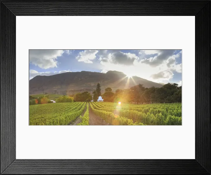 Framed Print : South Africa, Western Cape, Constantia, Buitenverwachting Wine Farm Framed Print : South Africa, Western Cape, Constantia, Buitenverwachting Wine Farm