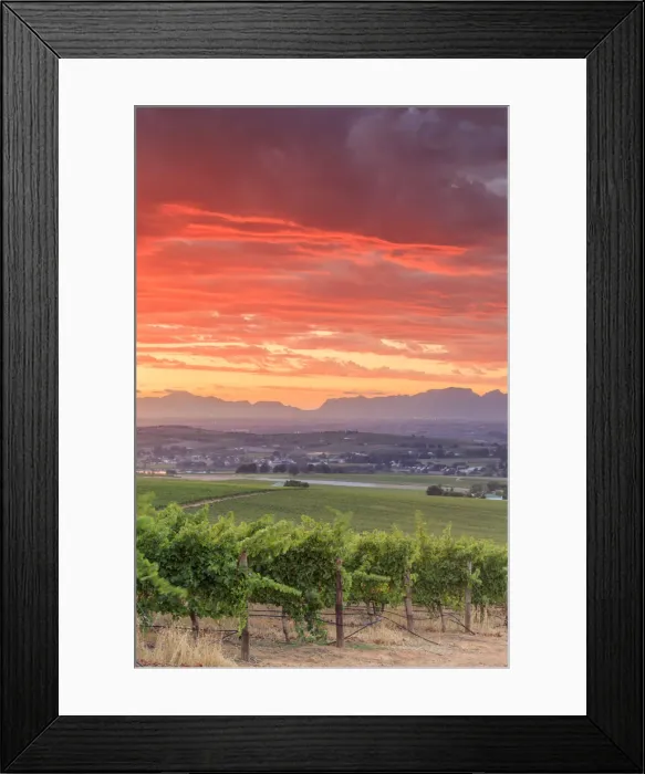 Framed Print : South Africa, Western Cape, Stellenbosch, Hidden Valley Wine Estate Framed Print : South Africa, Western Cape, Stellenbosch, Hidden Valley Wine Estate