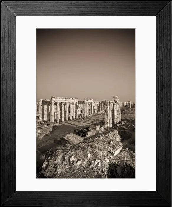 Framed Print : Syria, Apamea (Afamia) Archaeological Site (founded 3rd Century BC), 2km Cardo (Roman Framed Print : Syria, Apamea (Afamia) Archaeological Site (founded 3rd Century BC), 2km Cardo (Roman