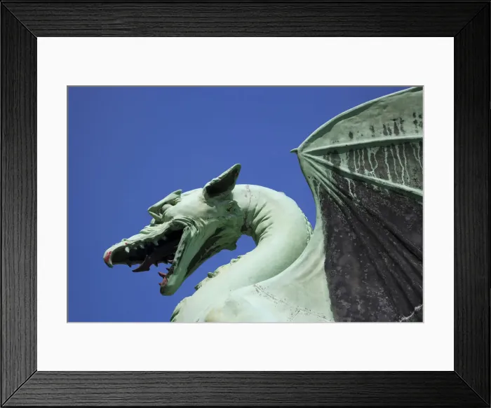 Framed Print : Close up of Bronze Dragon, Ljubljana, Slovenia