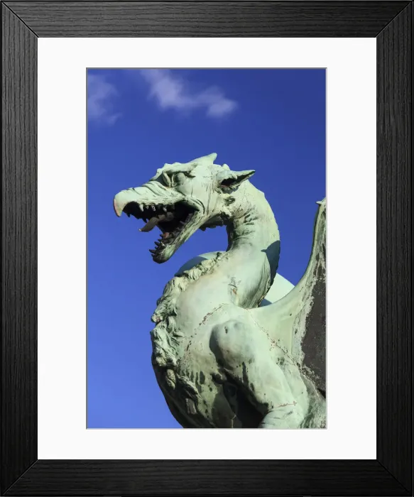 Framed Print : Slovenia, Ljubljiana, Dragon Bridge