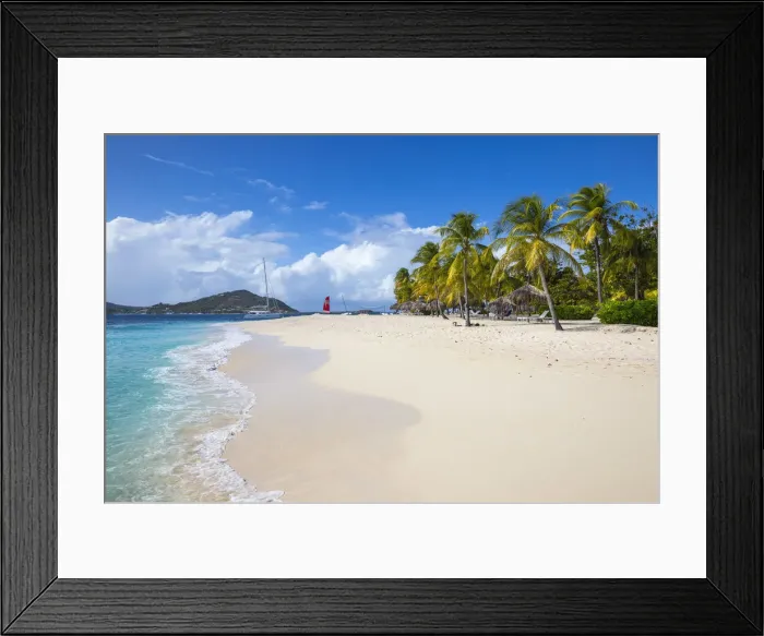 Framed Print : St Vincent and The Grenadines, Palm Island