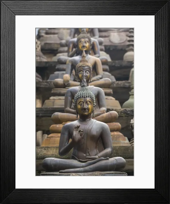 Framed Print : Statues of sitting Buddhas a Gangaramaya temple in Colombo, Sri Lanka