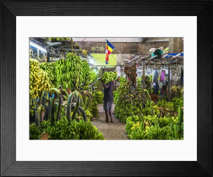 Framed Print : Bannanas for sale, Market, Colombo, Sri Lanka Framed Print : Bannanas for sale, Market, Colombo, Sri Lanka