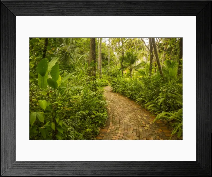 Framed Print : Railay Peninsula, Krabi Province, Thailandjungle Framed Print : Railay Peninsula, Krabi Province, Thailandjungle