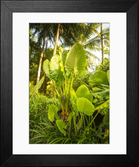Framed Print : Railay Peninsula, Krabi Province, Thailand
