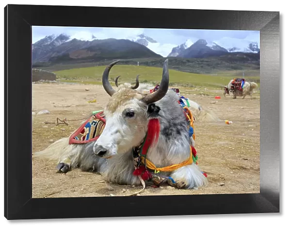 Mountain landscape, Lhasa Prefecture, Tibet, China
