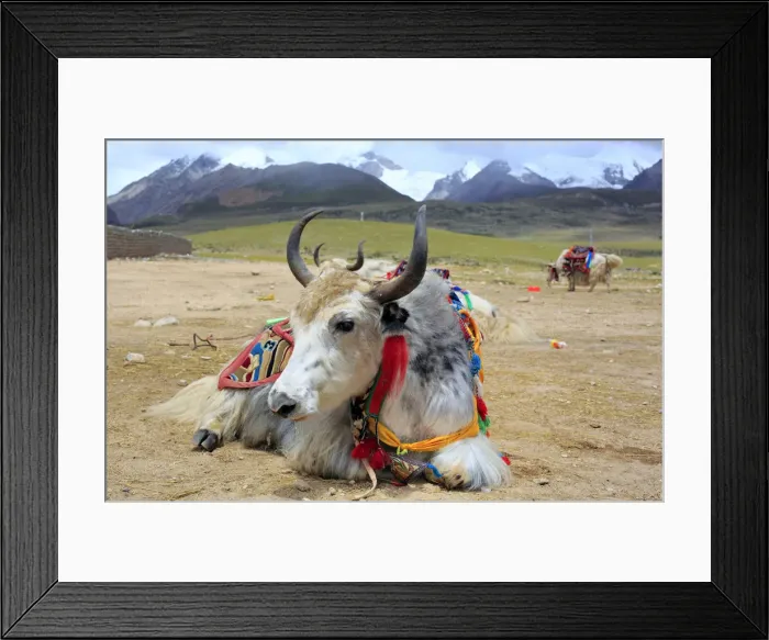 Framed Print : Mountain landscape, Lhasa Prefecture, Tibet, China Framed Print : Mountain landscape, Lhasa Prefecture, Tibet, China