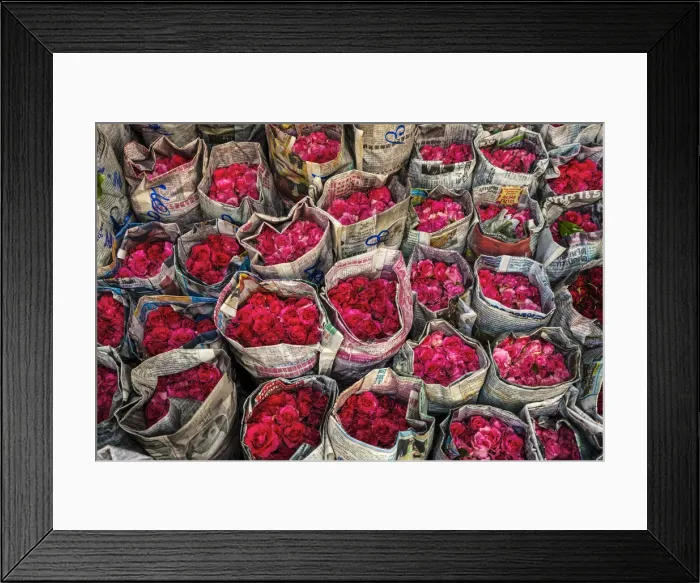 Framed Print : Roses for sale, flower market, nr Chinatown, Bangkok, Thailand Framed Print : Roses for sale, flower market, nr Chinatown, Bangkok, Thailand