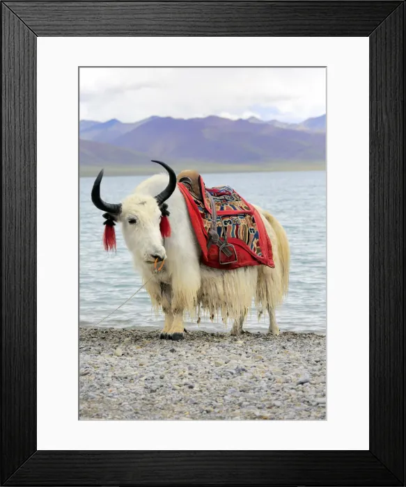 Framed Print : Namtso Lake (Nam Co), Tibet, China Framed Print : Namtso Lake (Nam Co), Tibet, China