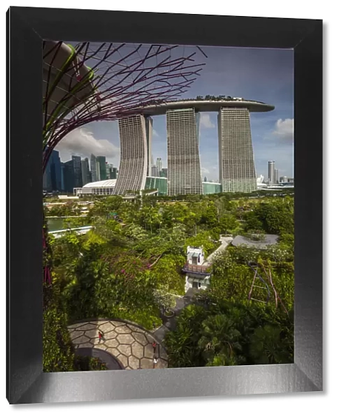 Singapore, Gardens By The Bay, Super Tree Grove, elevated walkway view with the Marina