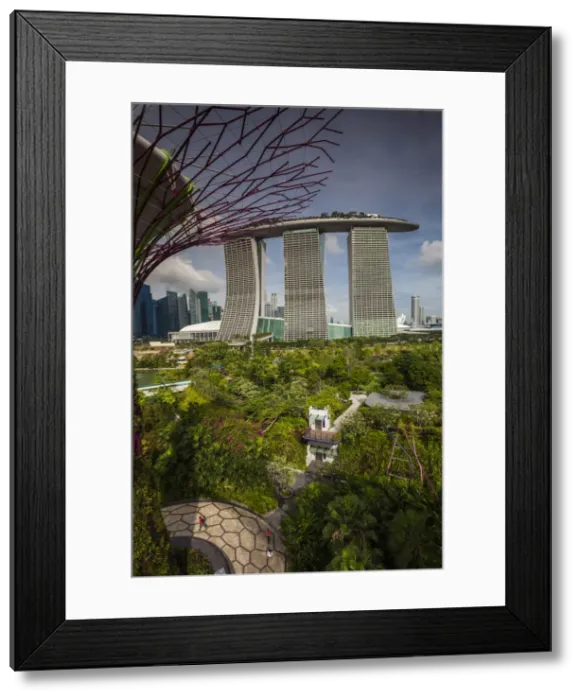 Framed Print : Singapore, Gardens By The Bay, Super Tree Grove, elevated walkway view with the Marina Framed Print : Singapore, Gardens By The Bay, Super Tree Grove, elevated walkway view with the Marina