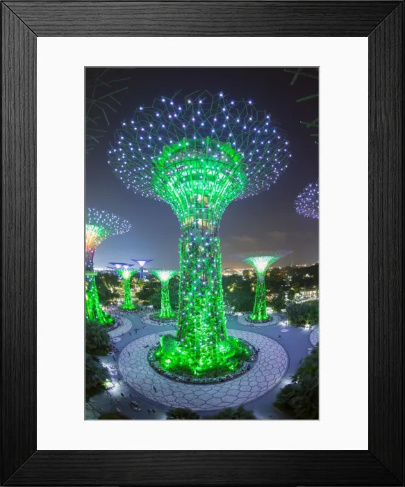 Framed Print : Supertrees at Gardens by the Bay, illuminated at night, Singapore, Southeast Asia