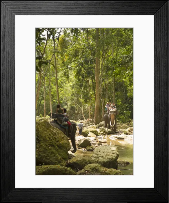 Framed Print : Elephant ride, Na Mueang Waterfall, Koh Samui, Thailand Framed Print : Elephant ride, Na Mueang Waterfall, Koh Samui, Thailand