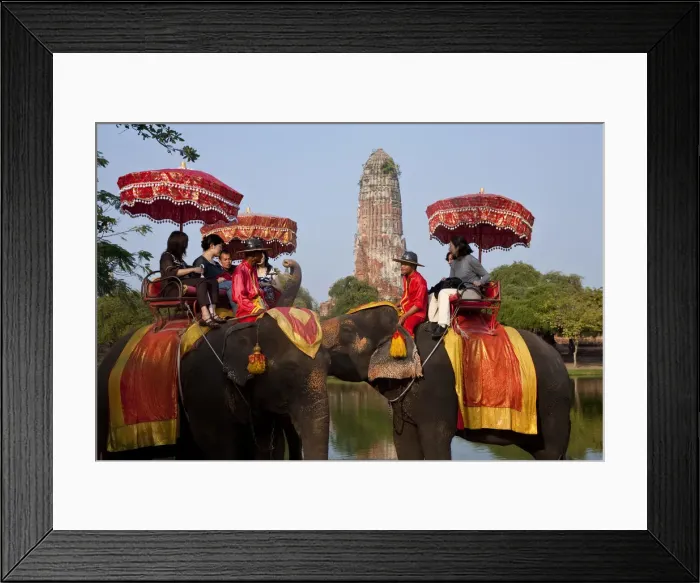 Framed Print : Elephant tourist rides, Ayutthaya, Thailand Framed Print : Elephant tourist rides, Ayutthaya, Thailand