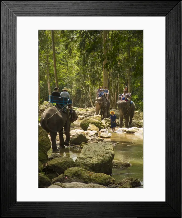 Framed Print : Elephant ride, Na Mueang Waterfall, Koh Samui, Thailand