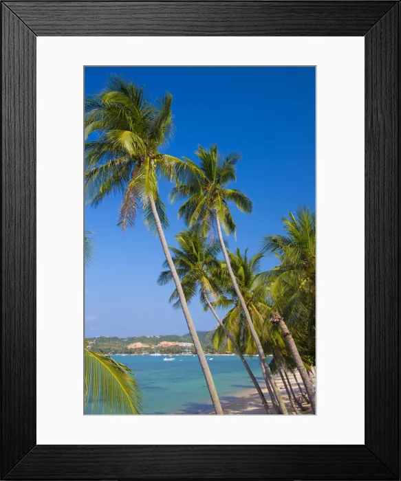 Framed Print : Bo Phut beach, Koh Samui, Thailand Framed Print : Bo Phut beach, Koh Samui, Thailand