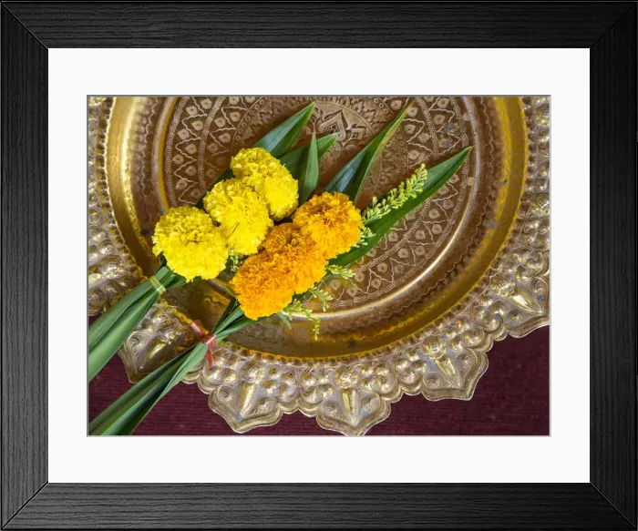 Framed Print : Chrysanthemum flowers on a dish at Wat Khunaram, Koh Samui, Thailand Framed Print : Chrysanthemum flowers on a dish at Wat Khunaram, Koh Samui, Thailand