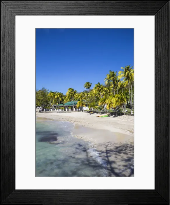 Framed Print : St Vincent and The Grenadines, Bequia, Belmont Walkway, Bequia Plantation Hotel and beach Framed Print : St Vincent and The Grenadines, Bequia, Belmont Walkway, Bequia Plantation Hotel and beach