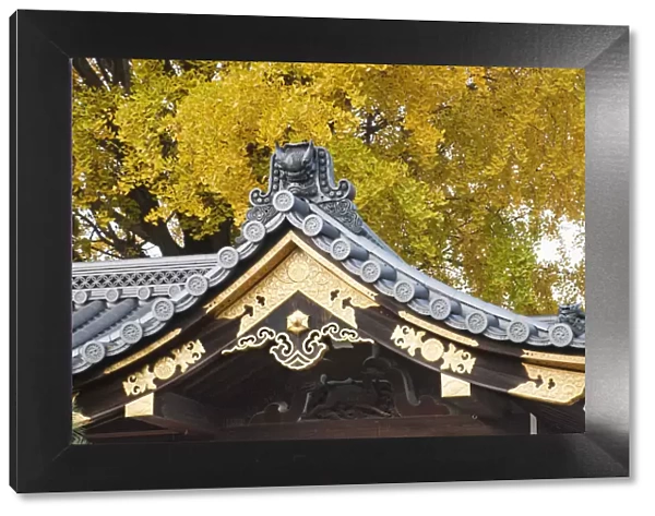 Japan, Kyoto, Nishi-Honganji Temple, Detail of Roof and Autumn Leaves