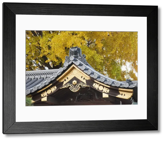 Framed Print : Japan, Kyoto, Nishi-Honganji Temple, Detail of Roof and Autumn Leaves Framed Print : Japan, Kyoto, Nishi-Honganji Temple, Detail of Roof and Autumn Leaves