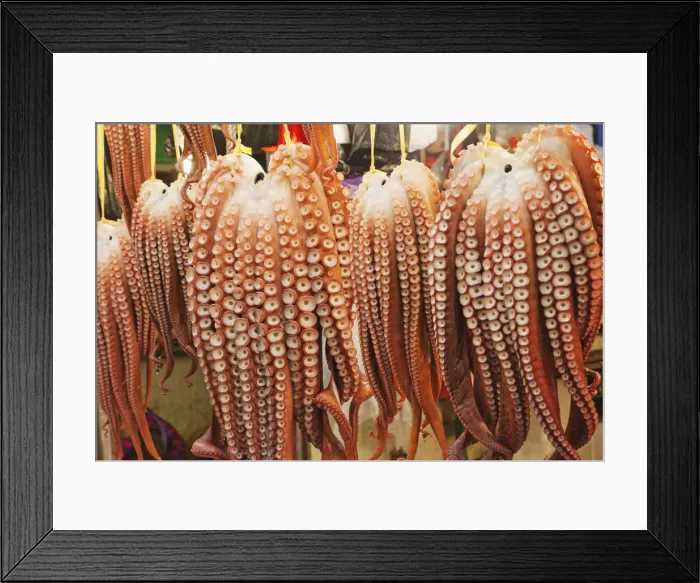Framed Print : South Korea, Gyeongju, Gyeongju Market, Octopuses