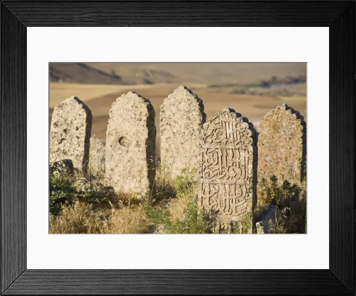 Framed Print : Turkey, Eastern Turkey, Hasankeyf, Kale Fortress, Grave yard Framed Print : Turkey, Eastern Turkey, Hasankeyf, Kale Fortress, Grave yard