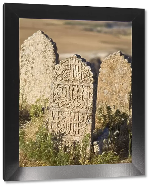 Turkey, Eastern Turkey, Hasankeyf, Kale Fortress, Grave yard