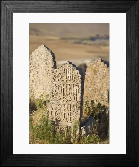 Framed Print : Turkey, Eastern Turkey, Hasankeyf, Kale Fortress, Grave yard Framed Print : Turkey, Eastern Turkey, Hasankeyf, Kale Fortress, Grave yard