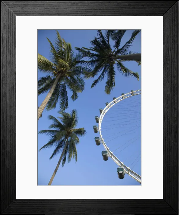 Framed Print : Singapore, Singapore Flyer Framed Print : Singapore, Singapore Flyer