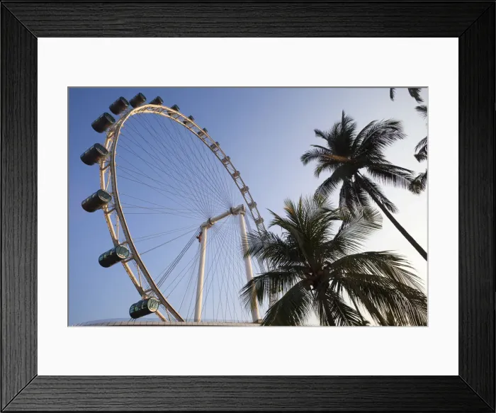 Framed Print : Singapore, Singapore Flyer Framed Print : Singapore, Singapore Flyer