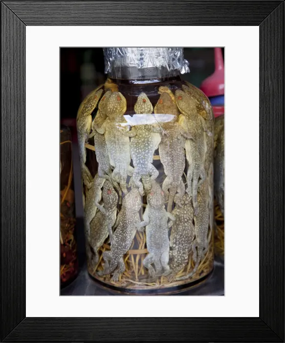 Framed Print : Vietnam, Hue, Preserved Frogs in Traditional Medicine Shop Framed Print : Vietnam, Hue, Preserved Frogs in Traditional Medicine Shop