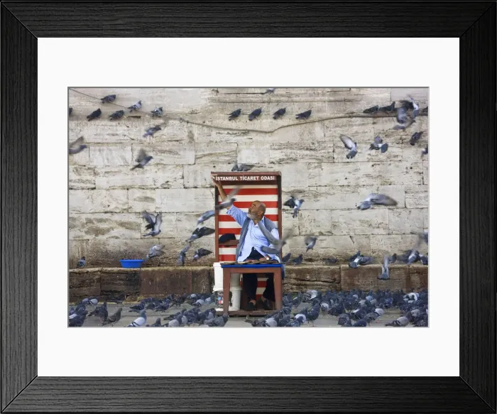 Framed Print : Pigeon feed seller, Istanbul, Turkey Framed Print : Pigeon feed seller, Istanbul, Turkey