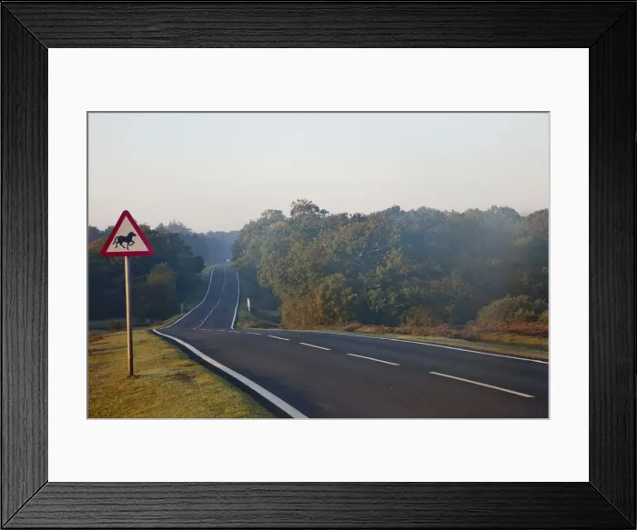 Framed Print : England, Hampshire, New Forest, Road Framed Print : England, Hampshire, New Forest, Road