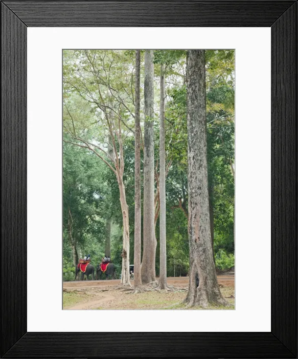Framed Print : Cambodia, Siem Reap, Angkor Thom, Bayon Temple, Jungle and Elephants Framed Print : Cambodia, Siem Reap, Angkor Thom, Bayon Temple, Jungle and Elephants