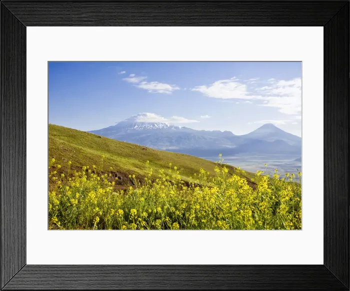 Framed Print : Turkey, Eastern Turkey, Dogubayazit, Mount Ararat Framed Print : Turkey, Eastern Turkey, Dogubayazit, Mount Ararat