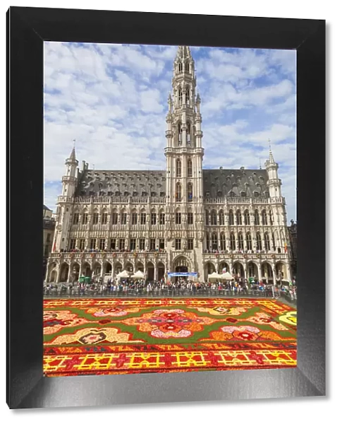 Belgium, Brussels, Grand Place, Flower Carpet Festival and The Town Hall