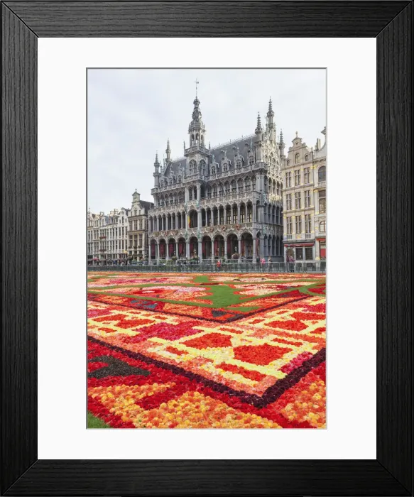 Framed Print : Belgium, Brussels, Grand Place, Flower Carpet Festival and Brussels City Museum Framed Print : Belgium, Brussels, Grand Place, Flower Carpet Festival and Brussels City Museum