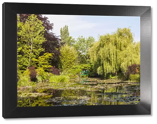 France, Normandy, Giverny, Monets Garden, The Water Lily Pond