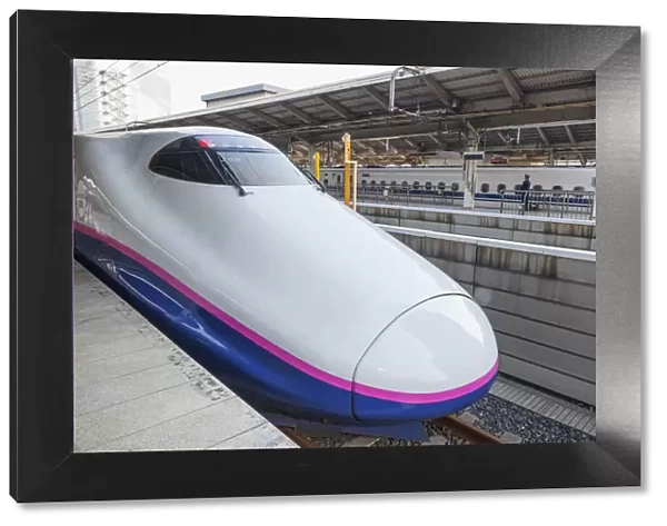 Japan, Honshu, Kanto, Tokyo, Tokyo Station, Shinkansen Bullet Train