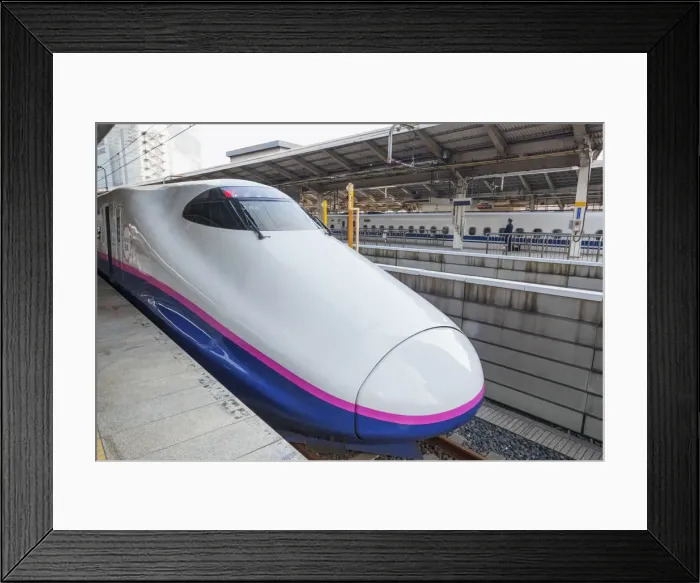 Framed Print : Japan, Honshu, Kanto, Tokyo, Tokyo Station, Shinkansen Bullet Train Framed Print : Japan, Honshu, Kanto, Tokyo, Tokyo Station, Shinkansen Bullet Train