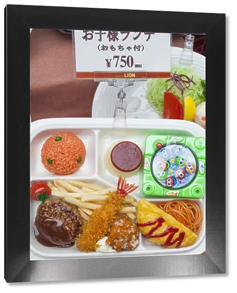 Japan, Honshu, Kanto, Tokyo, Typical Restaurant Plastic Food Display