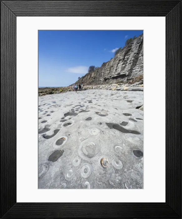 Framed Print : England, Dorset, Lyme Regis, Jurassic Coast, Rocks with Ammonite Patterns