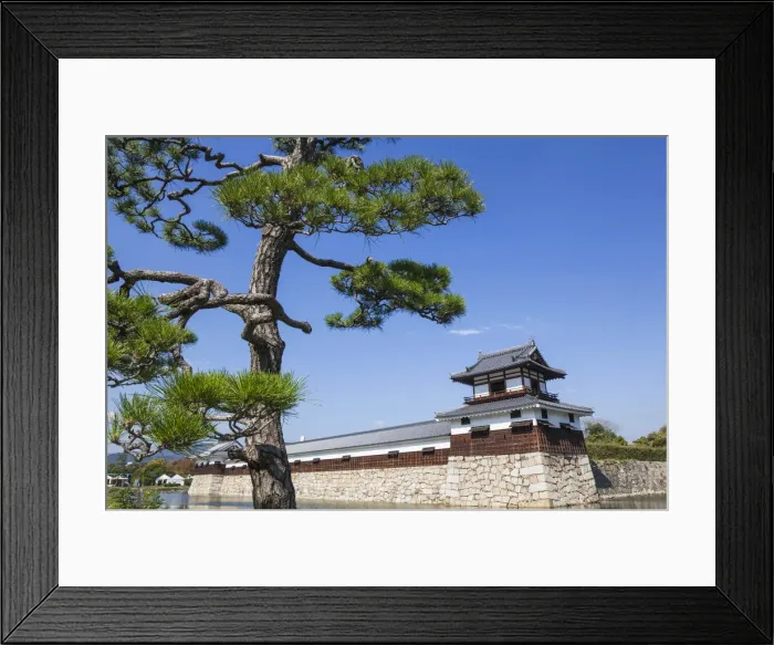 Framed Print : Japan, Kyushu, Hiroshima, Hiroshima Castle, Moat and Guard Tower Framed Print : Japan, Kyushu, Hiroshima, Hiroshima Castle, Moat and Guard Tower