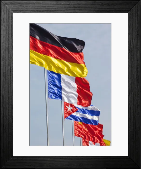 Framed Print : Flags Framed Print : Flags