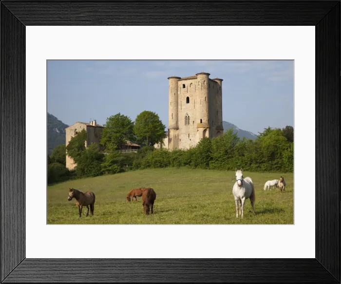 Framed Print : France, Languedoc-Roussillon, Aude, Arques, Arques Castle Framed Print : France, Languedoc-Roussillon, Aude, Arques, Arques Castle