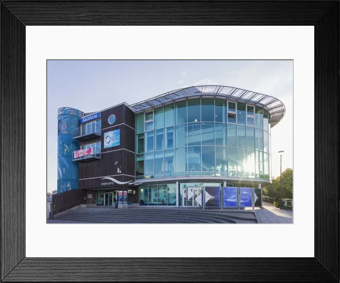 Framed Print : England, Devon, Plymouth, The National Marine Aquarium