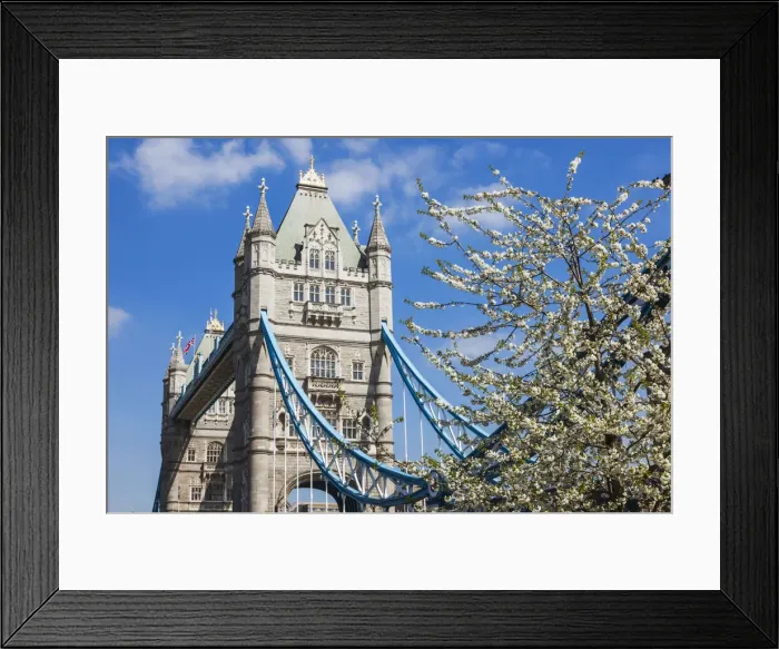 Framed Print : England, London, Southwark, Tower Bridge, Spring Blossom Framed Print : England, London, Southwark, Tower Bridge, Spring Blossom