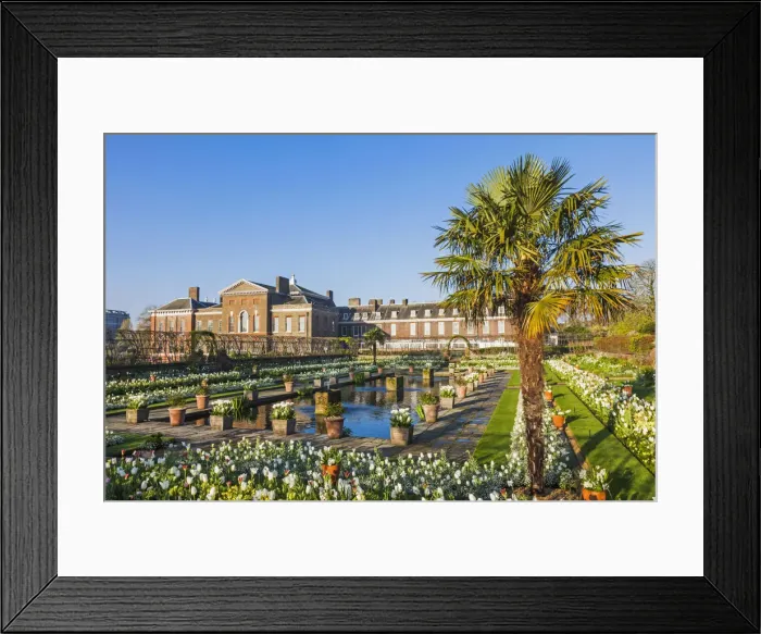 Framed Print : England, London, Kensington, Kensington Palace, The Sunken Garden Framed Print : England, London, Kensington, Kensington Palace, The Sunken Garden